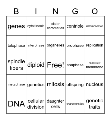 DNA and Cellular division Bingo Card
