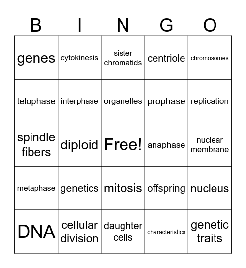 DNA and Cellular division Bingo Card