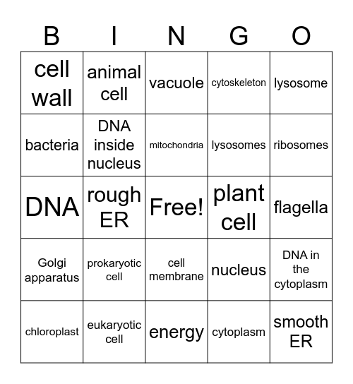 Organelles Bingo Card