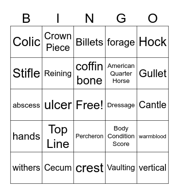 Horse Bingo Card