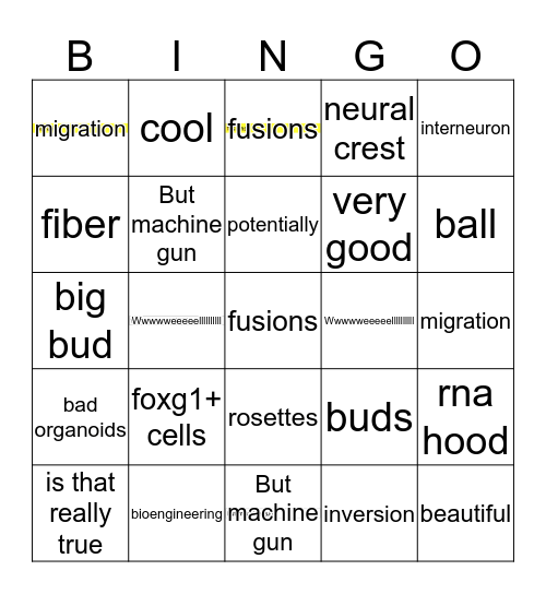 BS Bingo Card
