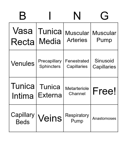 Blood Vessels BINGO Card