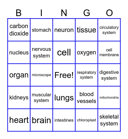 Human Body Bingo Card