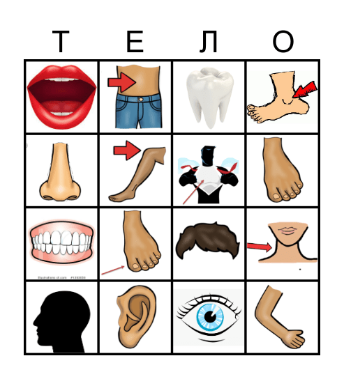 Части тела Bingo Card