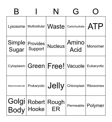 ADV Cells Bingo Card