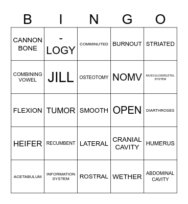 Veterinary Office Procedures Bingo Card