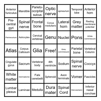 Brain Bingo Card
