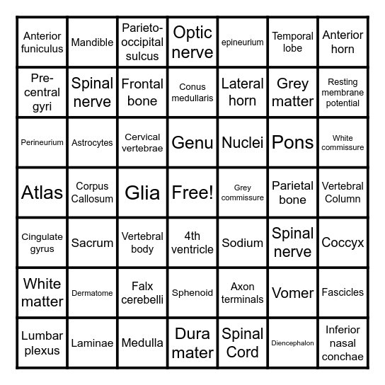 Brain Bingo Card