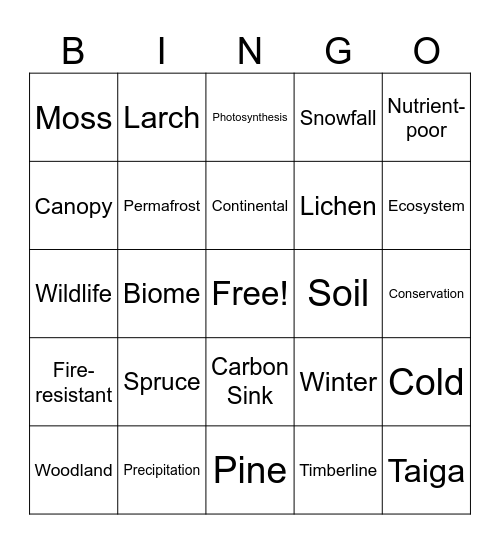 Coniferous Forest: Activity Bingo Card