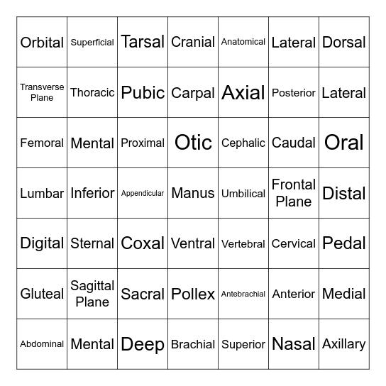 Anatomical Directional Terms Bingo Card