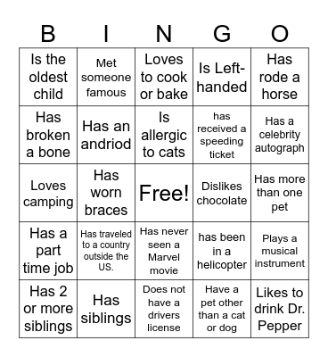 Ice-Ice Breaker! Bingo Card