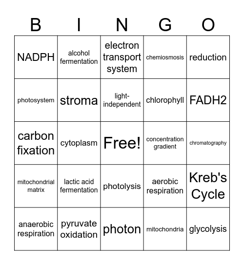 Biology 20 - Unit C Vocabulary Bingo Card