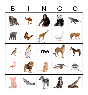 Animal Bingo Card