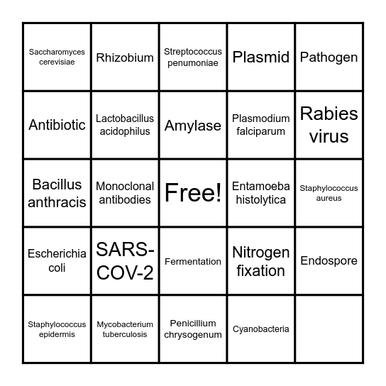 Microbial Bingo Card