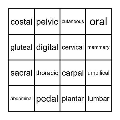 Body Regions Bingo Card