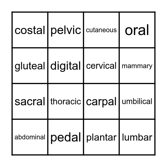 Body Regions Bingo Card