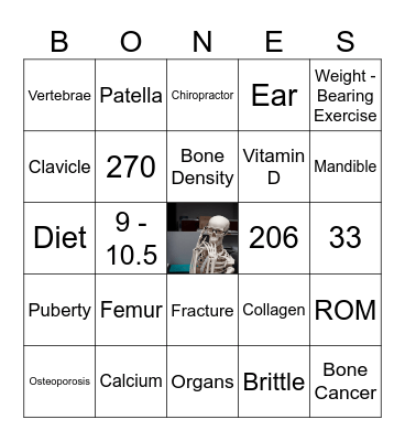 Body Bingo Card