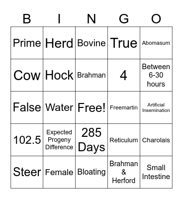 Beef Facts Bingo Card