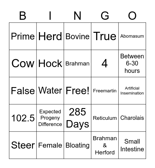 Beef Facts Bingo Card