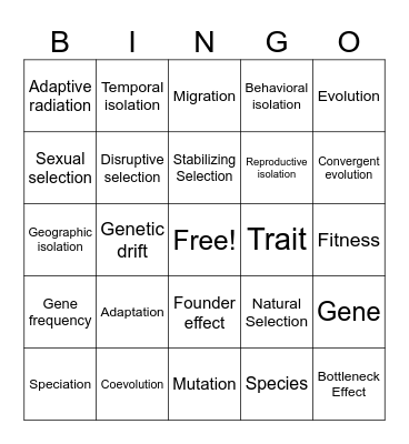 Evolution Bingo Card