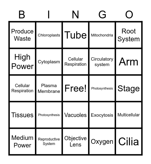 Cells Vocab Review Bingo Card