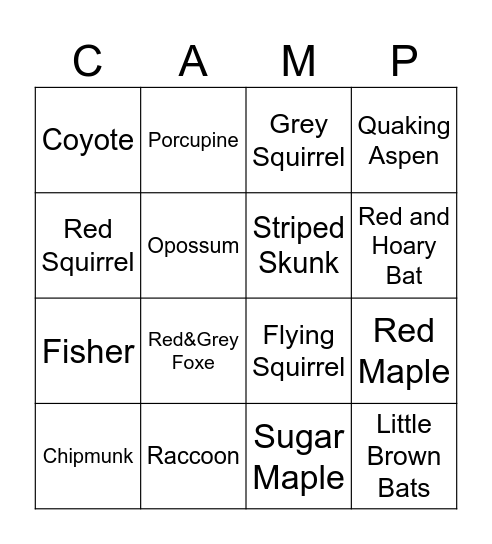 Pond Trail Scavenger Hunt Bingo Card