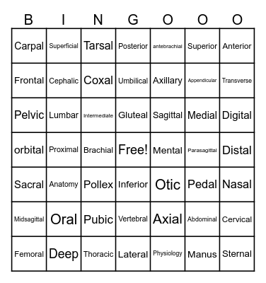 Anatomical Terminology Bingo Card