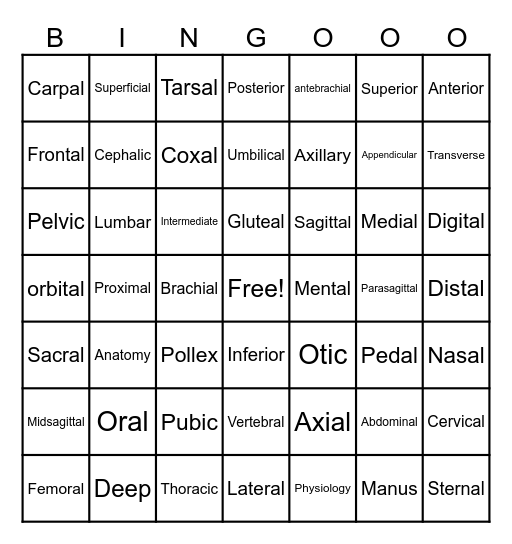 Anatomical Terminology Bingo Card