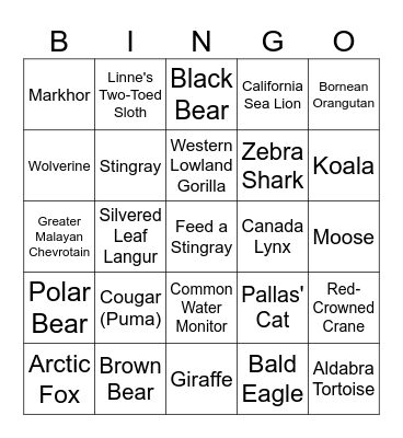 Boo at the Zoo Bingo Card
