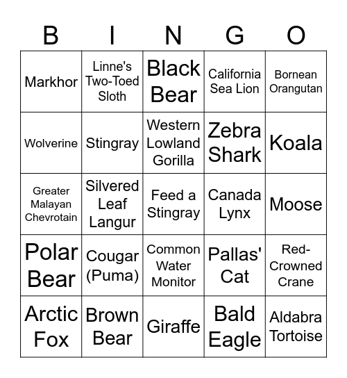 Boo at the Zoo Bingo Card