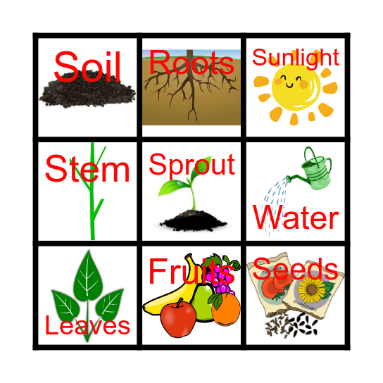 Plants Bingo Card