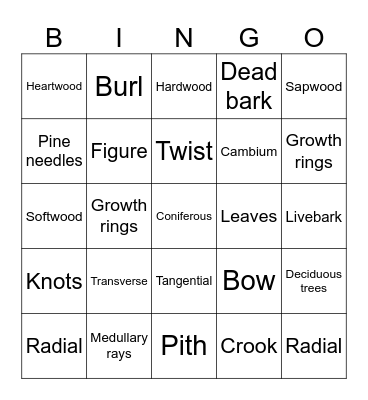 Wood science Bingo Card