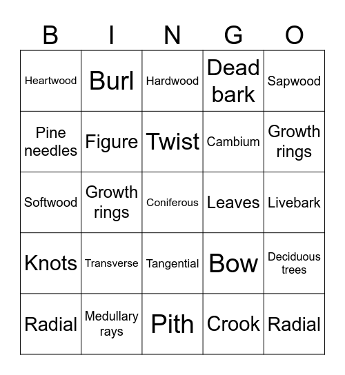 Wood science Bingo Card