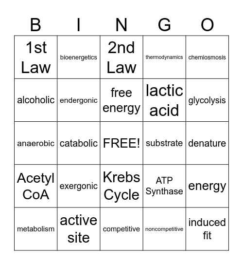 Cellular Respiration Bingo Card