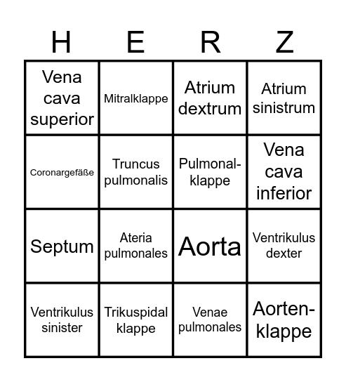 Herzanatomie - Bingo Card