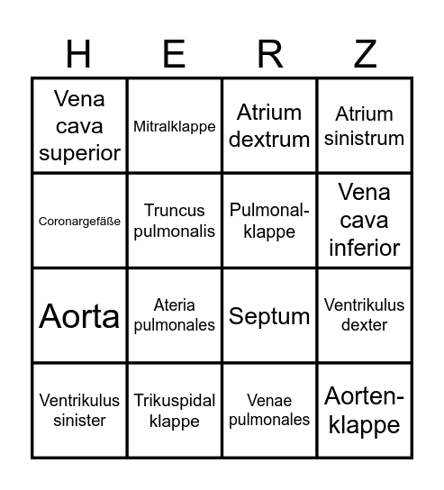 Herzanatomie - Bingo Card