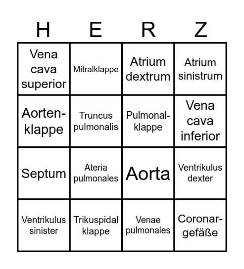 Herzanatomie - Bingo Card