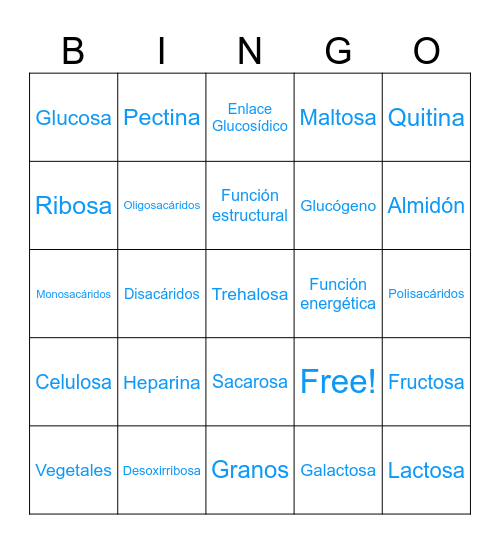 Bingo Carbohidratos Bingo Card