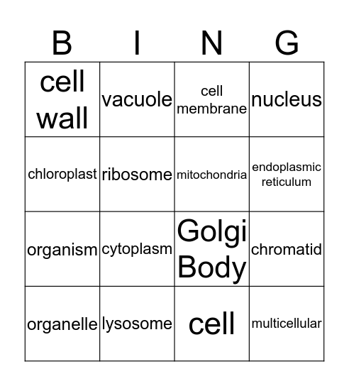 CELLS and Organelles Bingo Card