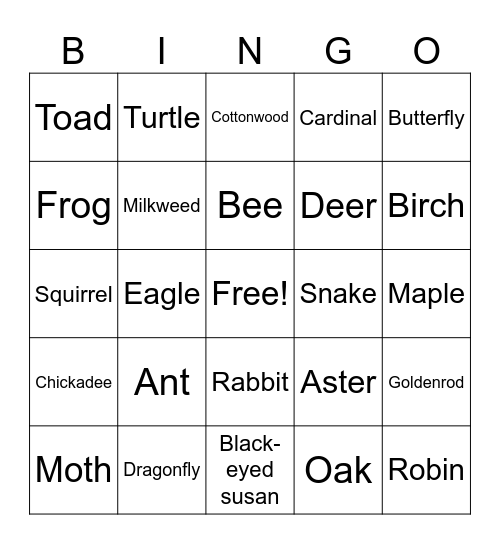 Biodiversity Bingo Card