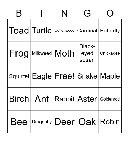 Biodiversity Bingo Card