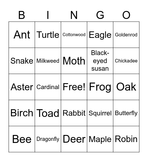 Biodiversity Bingo Card