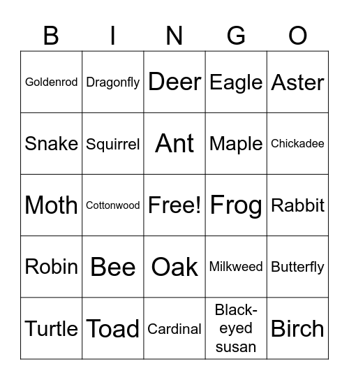 Biodiversity Bingo Card