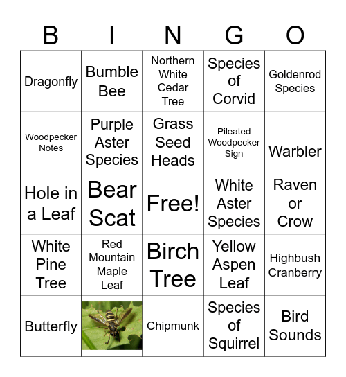 Fall State Park Bingo - Medium Bingo Card