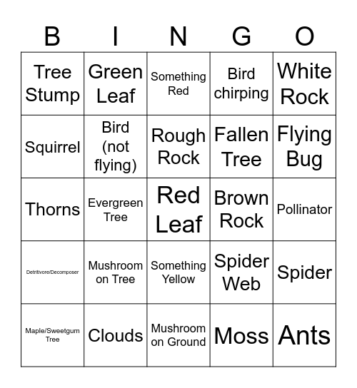 Fall Scavenger Hunt Bingo Card