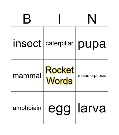 Rocket Words Bingo Card