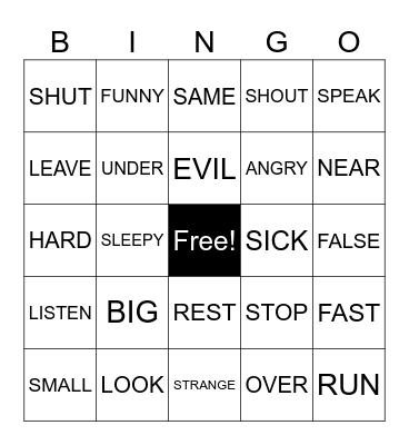 Synonym & Antonym Bingo Card