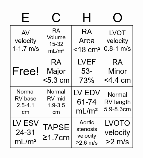 Normal Apical Window Measurements Bingo Card