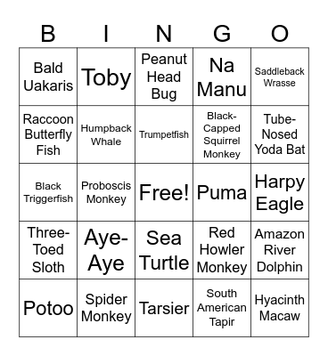 Animal Bingo Card