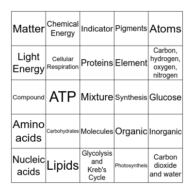 Chemistry of Life Bingo Card